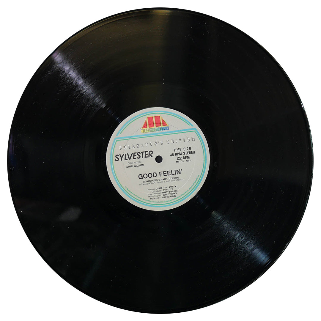 SYLVESTER - CALL ME (REMIX)/GOOD FEELIN' | 12" MAXI SINGLE USADO
