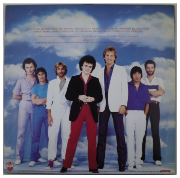 AIR SUPPLY - THE ONE THAT YOU LOVE  | VINILO