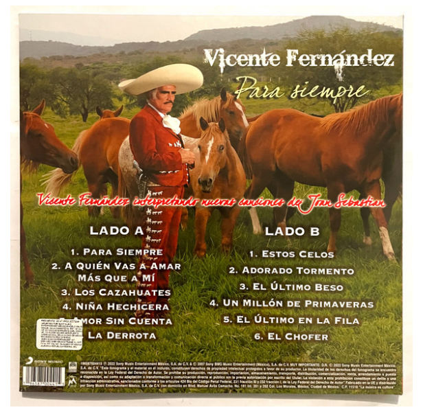 VICENTE FERNÁNDEZ - PARA SIEMPRE | VINILO