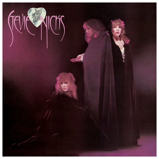 STEVIE NICKS  - THE WILD HEART | VINILO