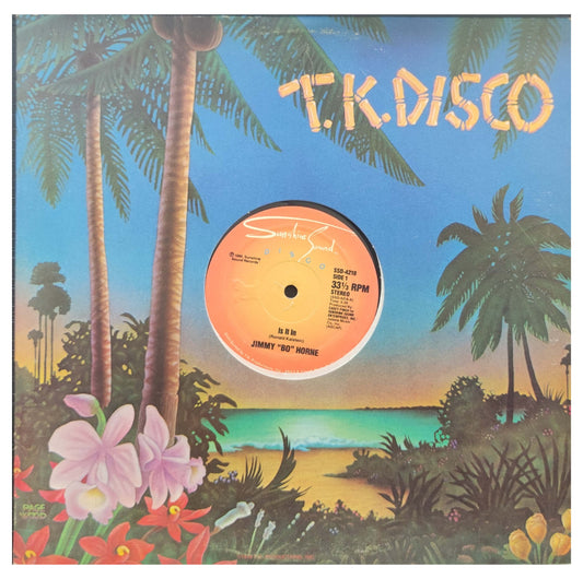 JIMMY "BO" HORNE - IS IT IN | 12" MAXI SINGLE USADO
