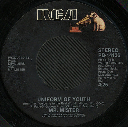 MR. MISTER - BROKEN WINGS | 7" SINGLE VINILO USADO