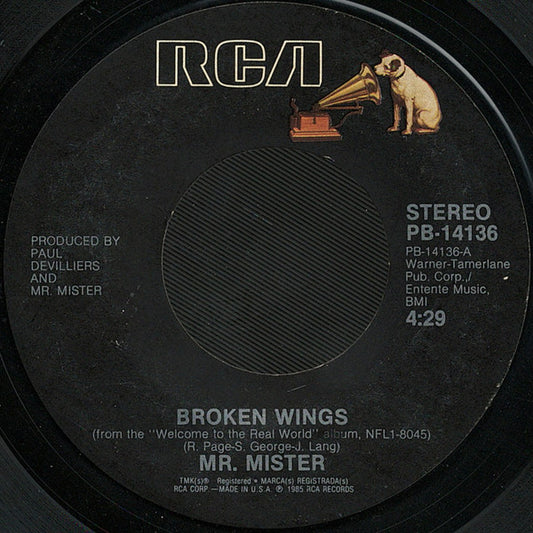 MR. MISTER - BROKEN WINGS | 7" SINGLE VINILO USADO