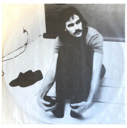 JAMES TAYLOR - GREATEST HITS | VINILO USADO