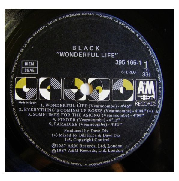 BLACK - WONDERFUL LIFE  | VINILO USADO