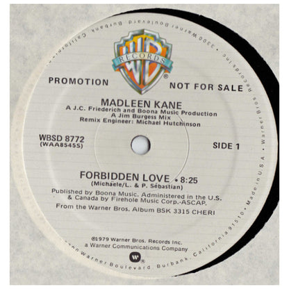 MADLEEN KANE - FORBIDDEN LOVE/YOU AND I | 12" MAXI SINGLE USADO