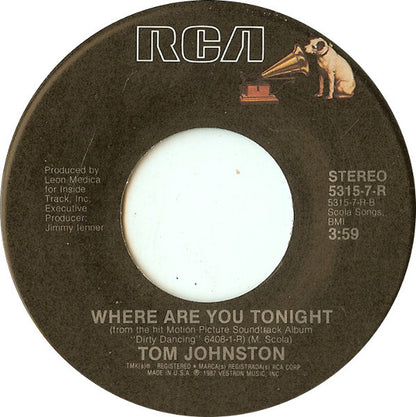ERIC CARMEN - HUNGRY EYES | 7" SINGLE VINILO USADO