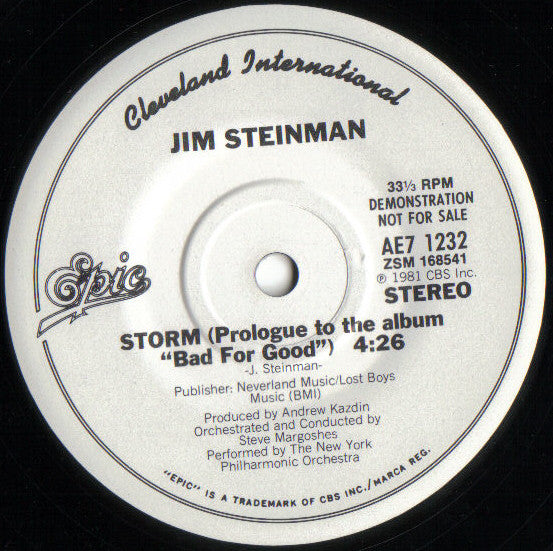 JIM STEINMAN - ROCK AND ROLL DREAMS COME THROUGH | 7" SINGLE VINILO USADO