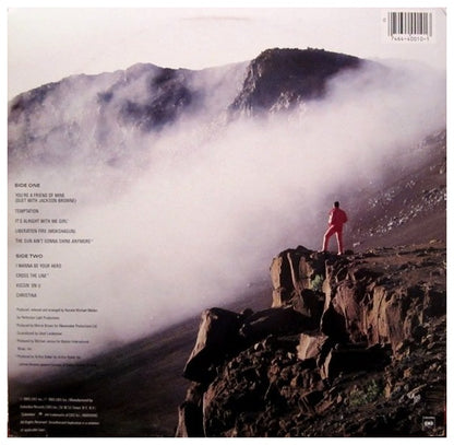 CLARENCE CLEMONS - HERO | VINILO USADO