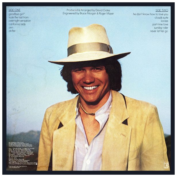 DAVID GATES - GOODBYE GIRL | VINILO USADO