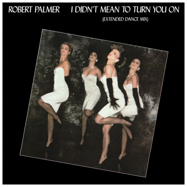 ROBERT PALMER - I DIDN'T MEAN TO TURN YOU ON | 12" MAXI SINGLE USADO