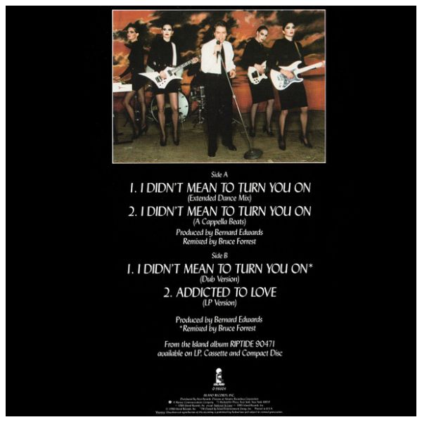 ROBERT PALMER - I DIDN'T MEAN TO TURN YOU ON | 12" MAXI SINGLE USADO