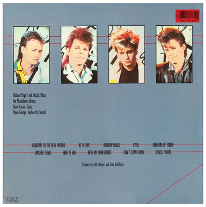 MR. MISTER - WELCOME TO THE REAL WORLD | VINILO USADO