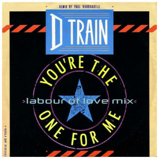 D TRAIN  - YOU'RE THE ONE FOR ME (PAUL HARDCASTLE REMIX) | 12" MAXI SINGLE USADO