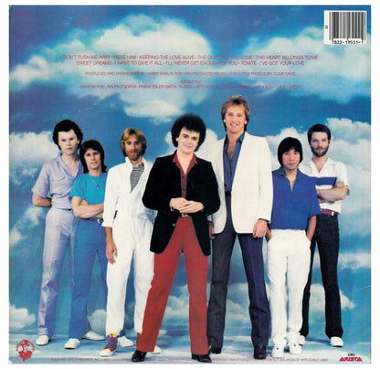 AIR SUPPLY - THE ONE THAT YOU LOVE | VINILO USADO