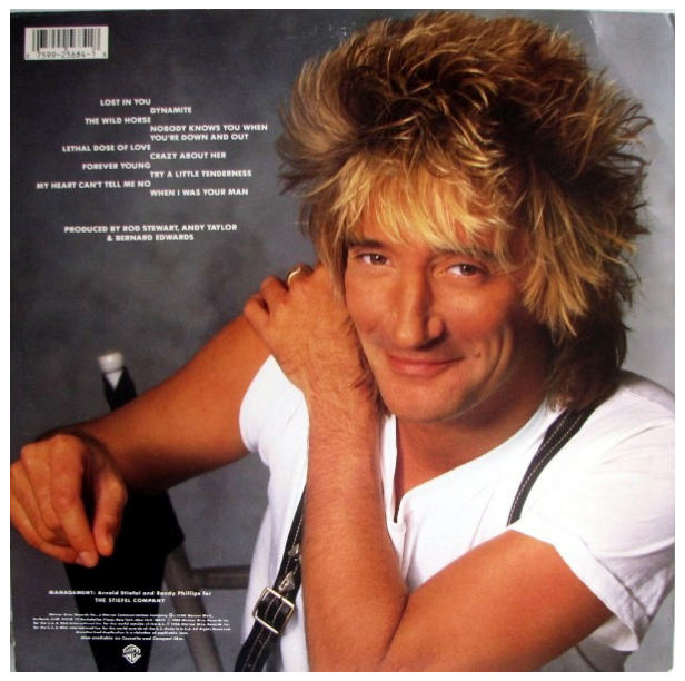 ROD STEWART - OUT OF ORDER | VINILO USADO