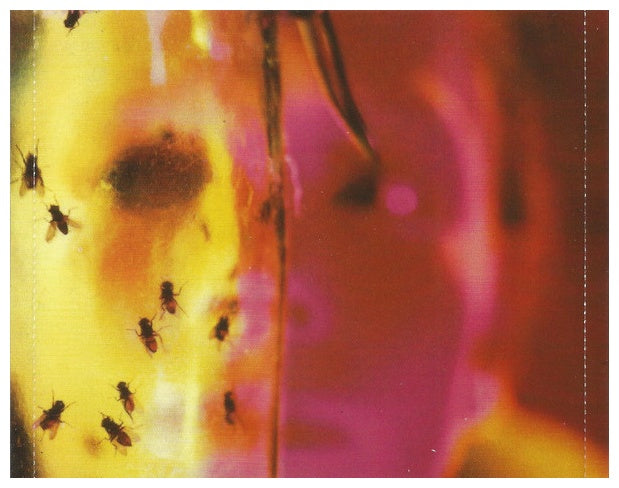 ALICE IN CHAINS - JAR OF FLIES | CD