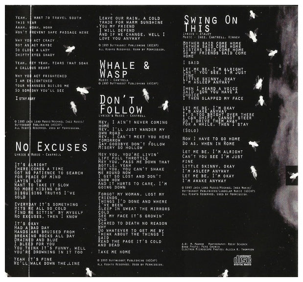 ALICE IN CHAINS - JAR OF FLIES | CD