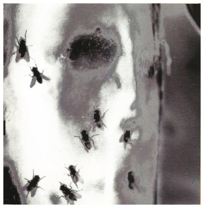 ALICE IN CHAINS - JAR OF FLIES | CD
