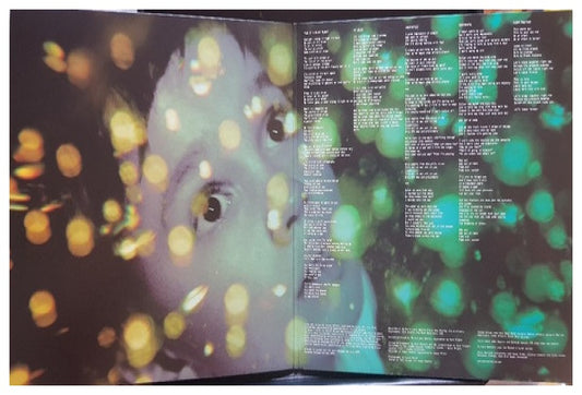 PORCUPINE TREE - FEAR OF A BLANK PLANET (2LP) | VINILO