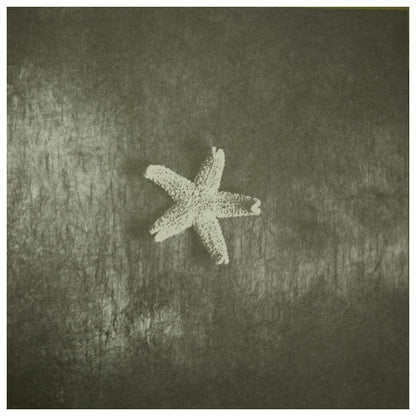 CHURCH - STARFISH (180Grs EDITION) | VINILO