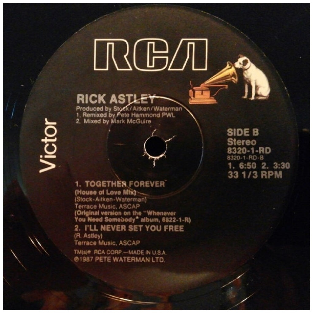 RICK ASTLEY - TOGETHER FOREVER (PROMO EDITION) | 12" MAXI SINGLE VINILO USADO