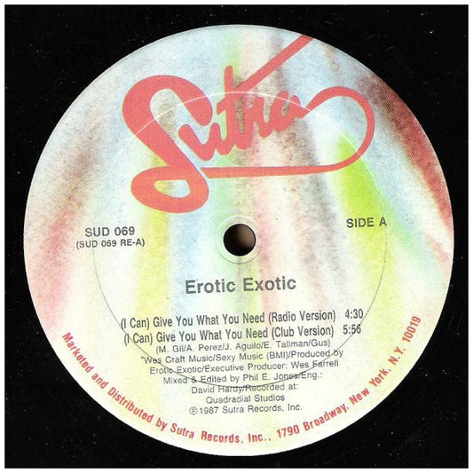 EROTIC EXOTIC - (I CAN) GIVE YOU WHATYOU NEED | 12" MAXI SINGLE VINILO USADO