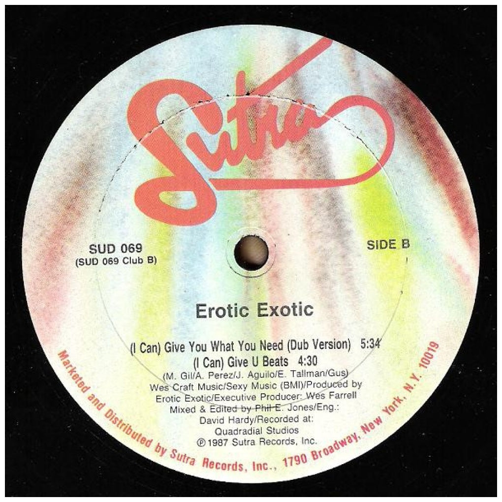 EROTIC EXOTIC - (I CAN) GIVE YOU WHATYOU NEED | 12" MAXI SINGLE VINILO USADO