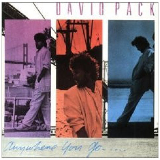 DAVID PACK - ANYWHERE YOU GO | VINILO USADO