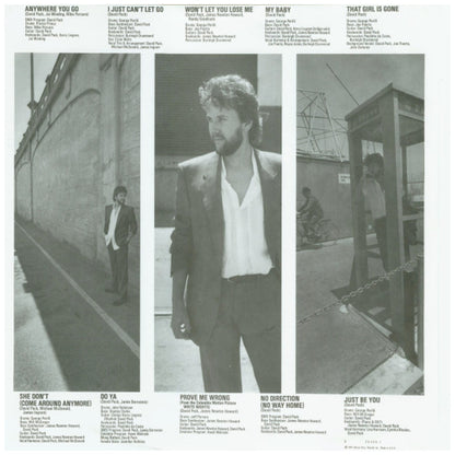 DAVID PACK - ANYWHERE YOU GO | VINILO USADO