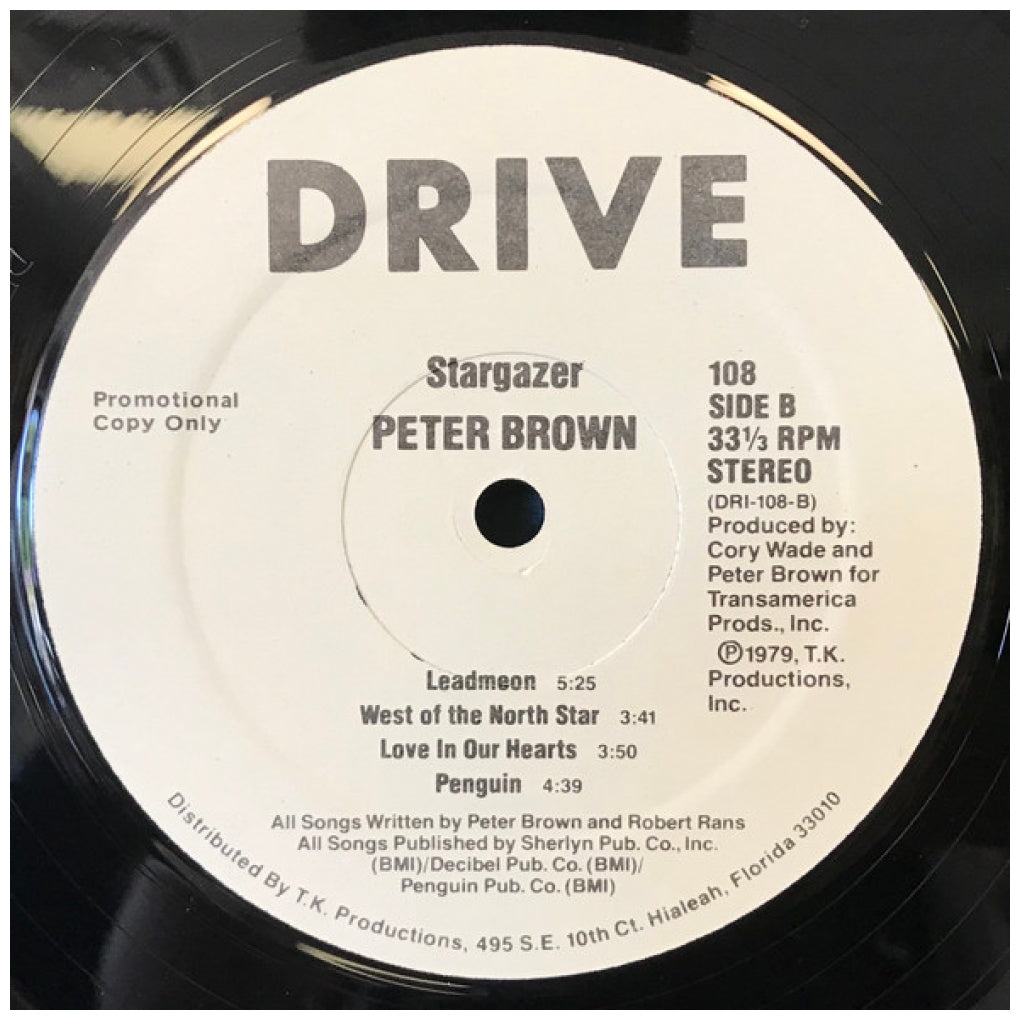 PETER BROWN - STARGAZER (VDE-NUEVO/SELLADO) | VINILO USADO