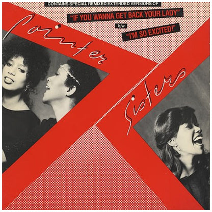 POINTER SISTERS - I'M SO EXCITED | 12" MAXI SINGLE USADO