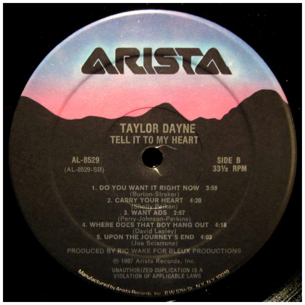 TAYLOR DAYNE  - TELL IT TO MY HEART | VINILO USADO