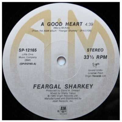 FEARGAL SHARKEY - A GOOD HEART | 12" MAXI SINGLE VINILO