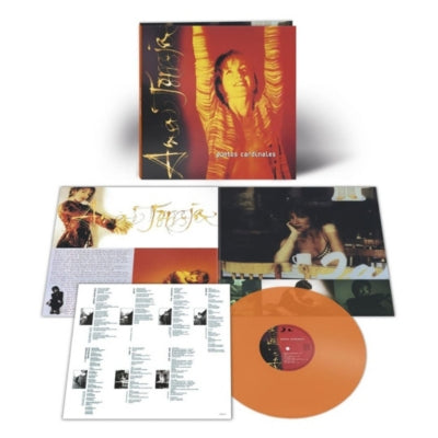 ANA TORROJA - PUNTOS CARDINALES 25TH ANNIVERSARY | VINILO