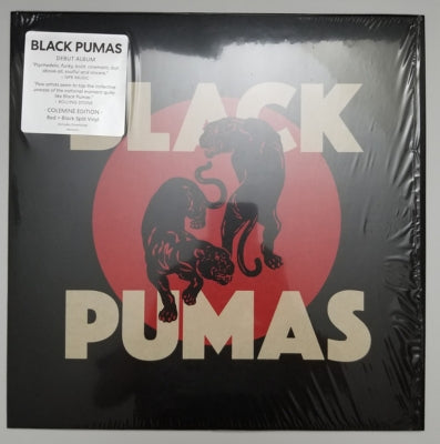 BLACK PUMAS - BLACK PUMAS | VINILO