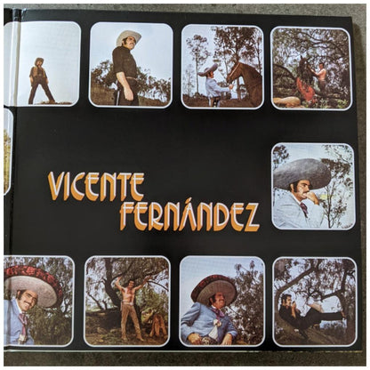 VICENTE FERNANDEZ - EL IDOLO DE MEXICO | VINILO