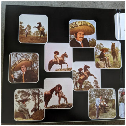 VICENTE FERNANDEZ - EL IDOLO DE MEXICO | VINILO