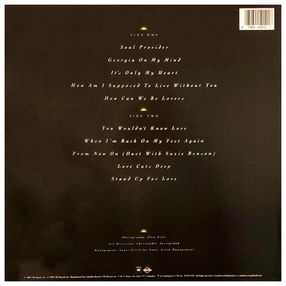 MICHAEL BOLTON - SOUL PROVIDER | VINILO USADO
