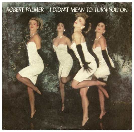 ROBERT PALMER - I DIDN'T MEAN TO TURN YOU ON | 7" SINGLE VINILO USADO